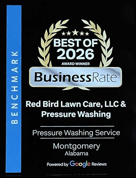 Google Review Benchmark Award