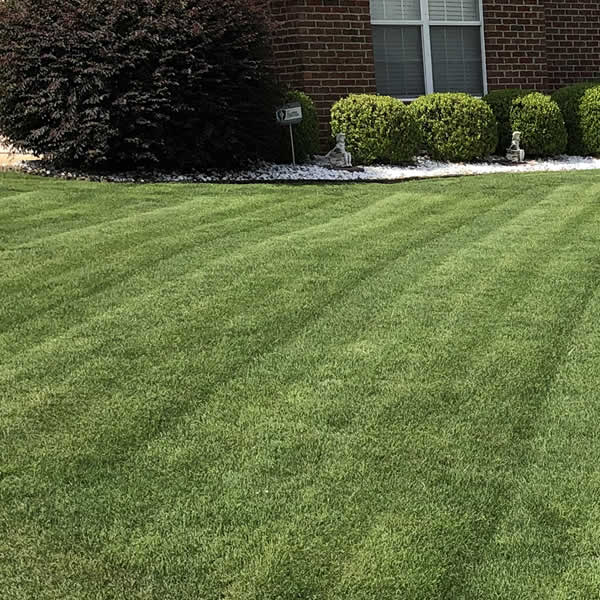 Lawn Mowing Services Montgomery AL