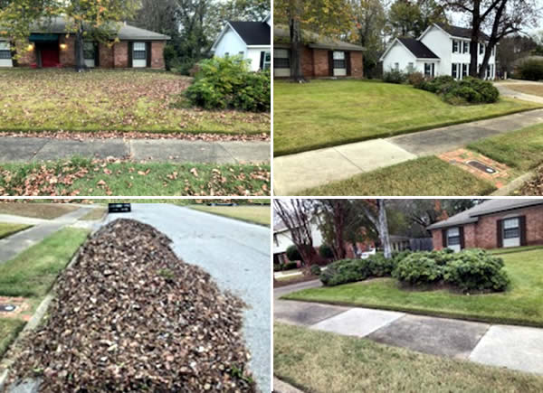 Leaf Removal Services Montgomery AL