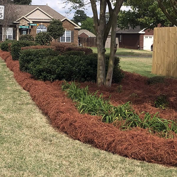 Montgomery AL Pine Straw Installation Services